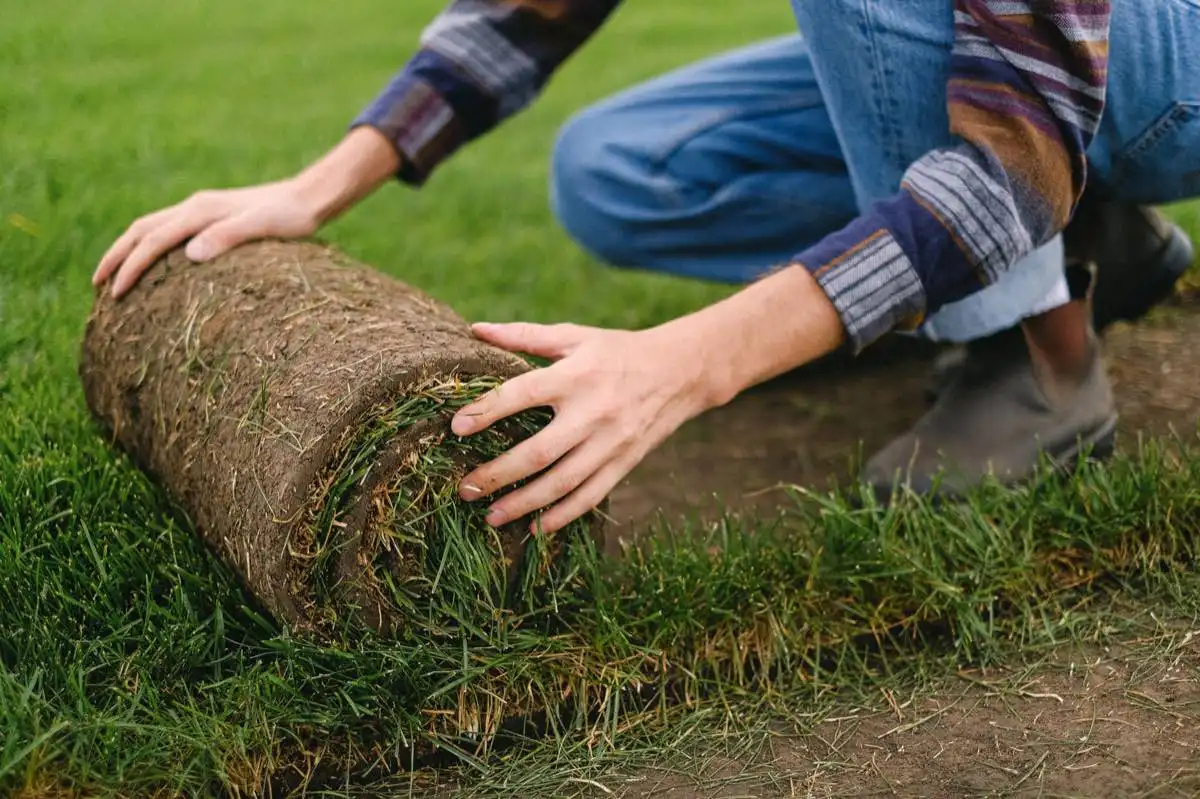 Soil Prep & Topdressing in Lubbock, TX